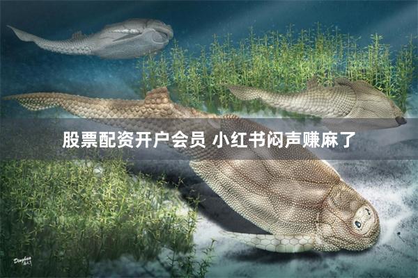 股票配资开户会员 小红书闷声赚麻了