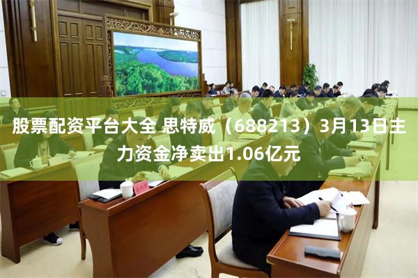 股票配资平台大全 思特威（688213）3月13日主力资金净卖出1.06亿元
