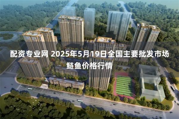 配资专业网 2025年5月19日全国主要批发市场鲢鱼价格行情