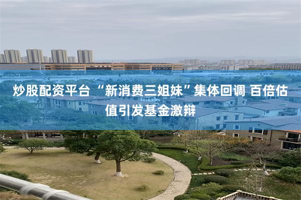 炒股配资平台 “新消费三姐妹”集体回调 百倍估值引发基金激辩