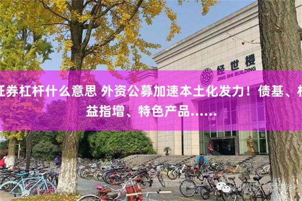 证券杠杆什么意思 外资公募加速本土化发力！债基、权益指增、特色产品......