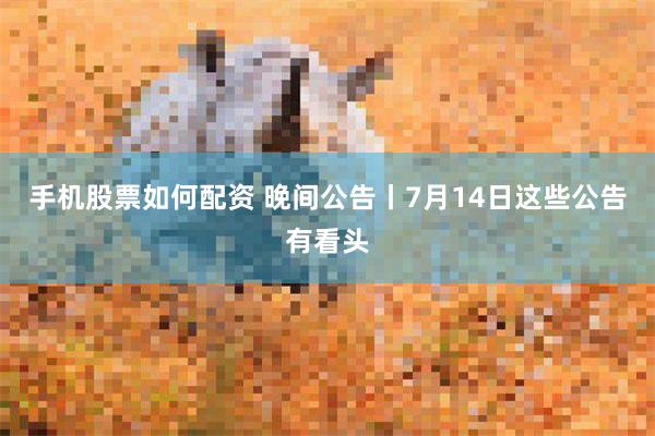 手机股票如何配资 晚间公告丨7月14日这些公告有看头