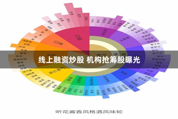 线上融资炒股 机构抢筹股曝光