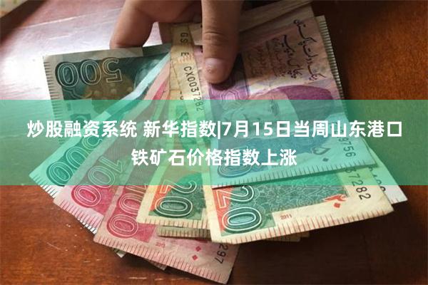 炒股融资系统 新华指数|7月15日当周山东港口铁矿石价格指数上涨