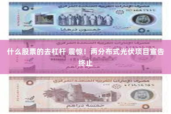 什么股票的去杠杆 震惊！两分布式光伏项目宣告终止