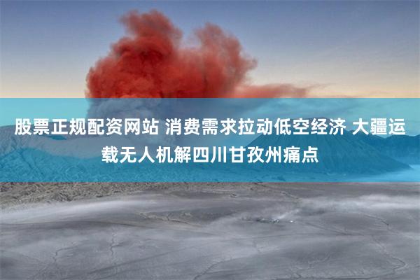 股票正规配资网站 消费需求拉动低空经济 大疆运载无人机解四川甘孜州痛点