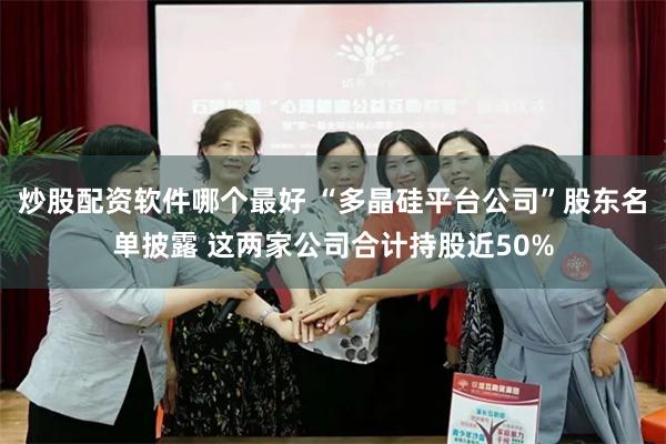 炒股配资软件哪个最好 “多晶硅平台公司”股东名单披露 这两家公司合计持股近50%