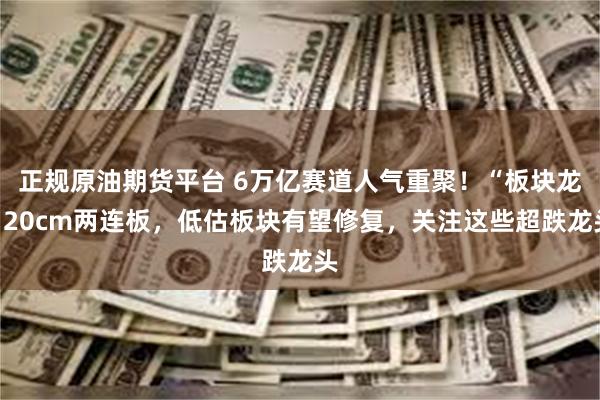 正规原油期货平台 6万亿赛道人气重聚！“板块龙”20cm两连板，低估板块有望修复，关注这些超跌龙头