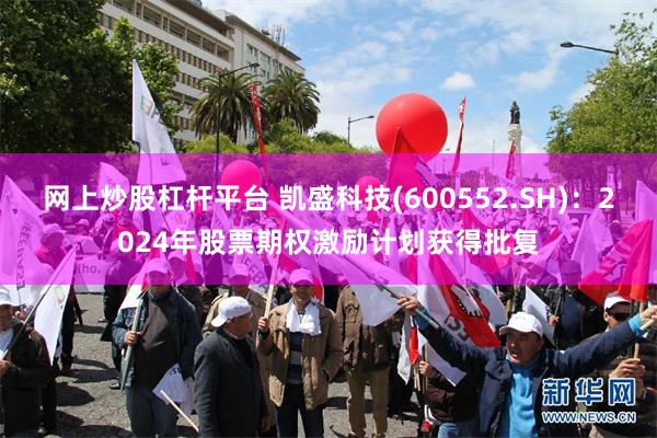 网上炒股杠杆平台 凯盛科技(600552.SH)：2024年股票期权激励计划获得批复