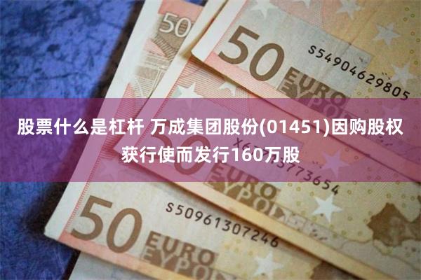 股票什么是杠杆 万成集团股份(01451)因购股权获行使而发行160万股