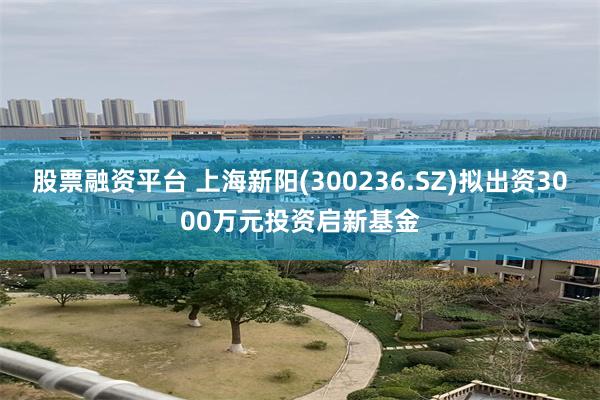股票融资平台 上海新阳(300236.SZ)拟出资3000万元投资启新基金