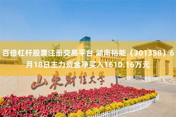 百倍杠杆股票注册交易平台 湖南裕能（301358）6月18日主力资金净买入1610.16万元