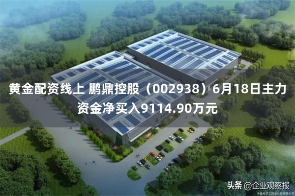 黄金配资线上 鹏鼎控股（002938）6月18日主力资金净买入9114.90万元