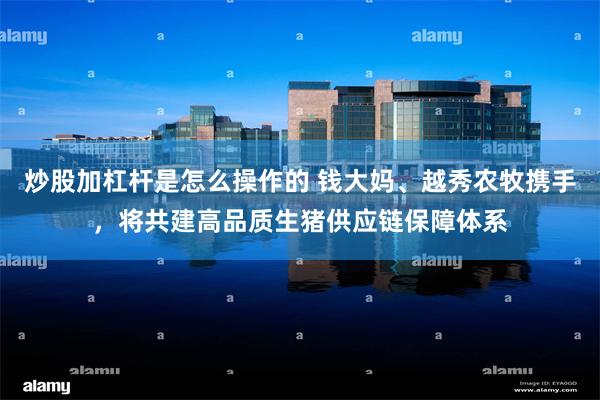 炒股加杠杆是怎么操作的 钱大妈、越秀农牧携手，将共建高品质生猪供应链保障体系