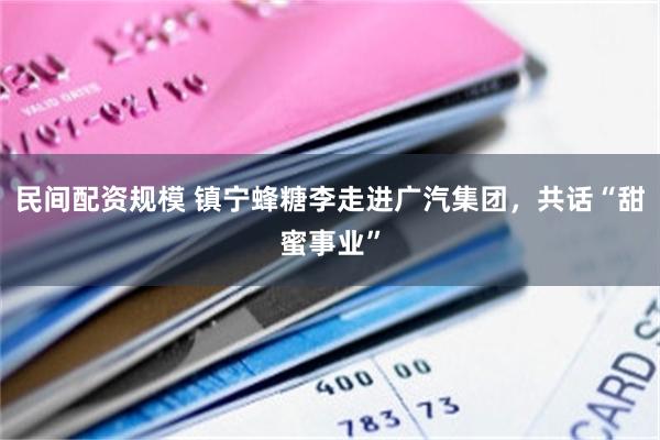 民间配资规模 镇宁蜂糖李走进广汽集团，共话“甜蜜事业”