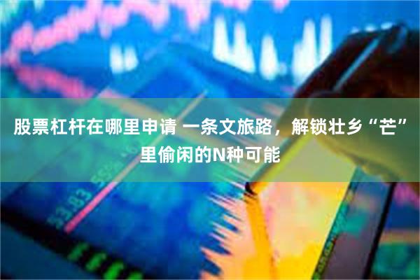 股票杠杆在哪里申请 一条文旅路，解锁壮乡“芒”里偷闲的N种可能
