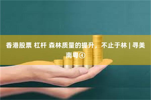 香港股票 杠杆 森林质量的提升，不止于林 | 寻美南粤④