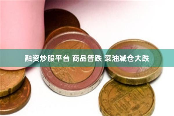 融资炒股平台 商品普跌 菜油减仓大跌