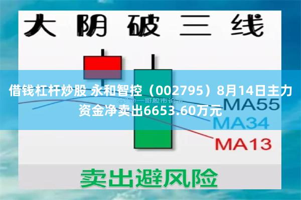 借钱杠杆炒股 永和智控（002795）8月14日主力资金净卖出6653.60万元