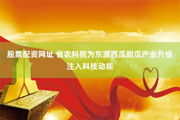 股票配资网址 省农科院为东源西瓜甜瓜产业升级注入科技动能