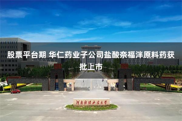 股票平台期 华仁药业子公司盐酸奈福泮原料药获批上市
