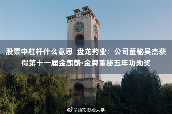 股票中杠杆什么意思 盘龙药业:公司董秘吴杰获得第十一届金麒麟·金牌董秘五年功勋奖