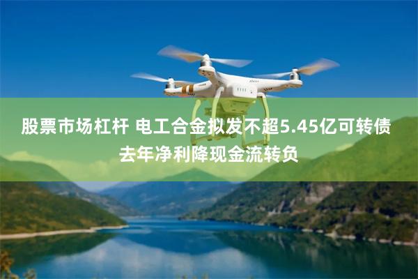 股票市场杠杆 电工合金拟发不超5.45亿可转债 去年净利降现金流转负