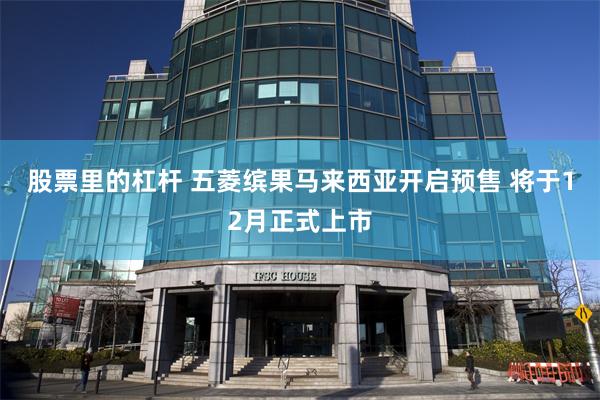 股票里的杠杆 五菱缤果马来西亚开启预售 将于12月正式上市