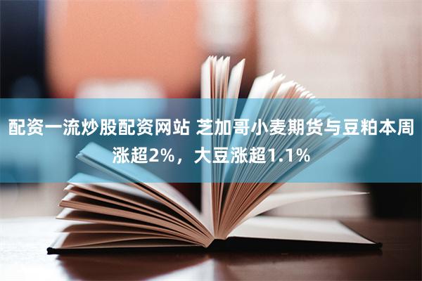 配资一流炒股配资网站 芝加哥小麦期货与豆粕本周涨超2%，大豆涨超1.1%