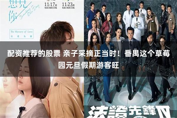 配资推荐的股票 亲子采摘正当时!番禺这个草莓园元旦假期游客旺