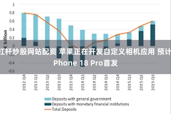 杠杆炒股网站配资 苹果正在开发自定义相机应用 预计iPhone 18 Pro首发