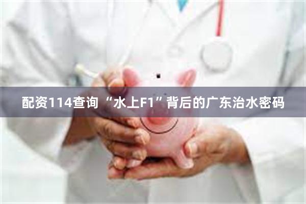 配资114查询 “水上F1”背后的广东治水密码
