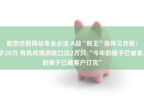 配资炒股网站专业必选 A股“猴王”涨停又炸板!一只猴子20万 有机构预测缺口达2万只 “今年的猴子已被客户订完”