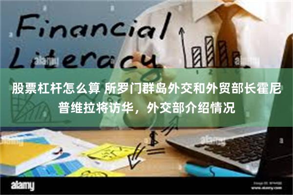 股票杠杆怎么算 所罗门群岛外交和外贸部长霍尼普维拉将访华，外交部介绍情况