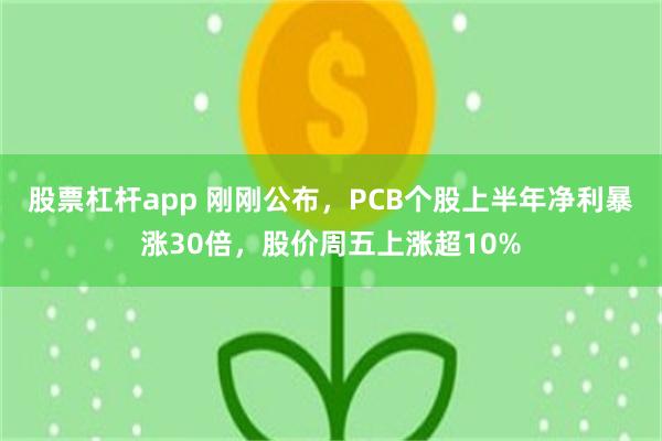 股票杠杆app 刚刚公布，PCB个股上半年净利暴涨30倍，股价周五上涨超10%