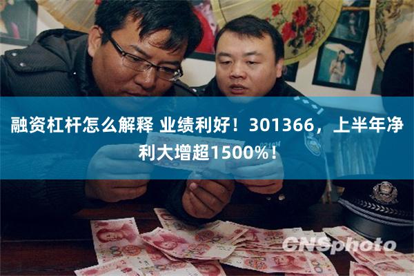 融资杠杆怎么解释 业绩利好！301366，上半年净利大增超1500%！