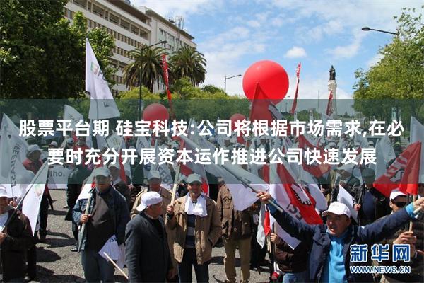 股票平台期 硅宝科技:公司将根据市场需求,在必要时充分开展资本运作推进公司快速发展