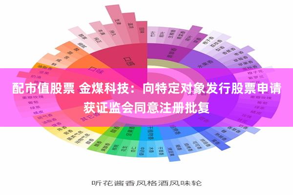 配市值股票 金煤科技：向特定对象发行股票申请获证监会同意注册批复