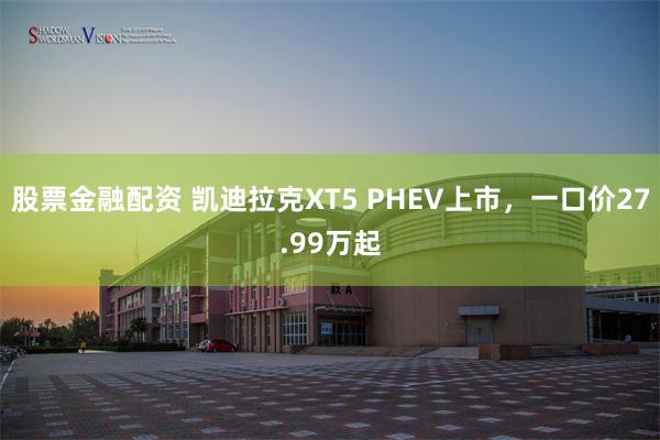 股票金融配资 凯迪拉克XT5 PHEV上市，一口价27.99万起
