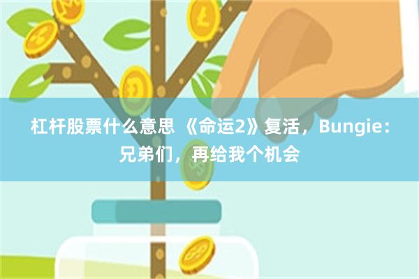 杠杆股票什么意思 《命运2》复活，Bungie：兄弟们，再给我个机会