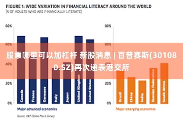 股票哪里可以加杠杆 新股消息 | 百普赛斯(301080.SZ)再次递表港交所