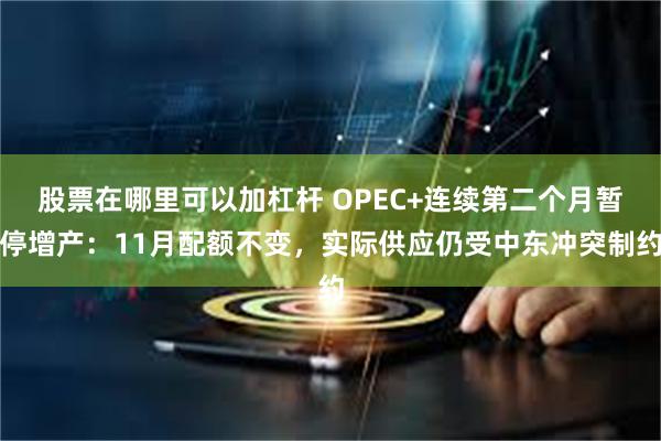 股票在哪里可以加杠杆 OPEC+连续第二个月暂停增产：11月配额不变，实际供应仍受中东冲突制约