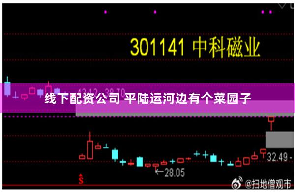 线下配资公司 平陆运河边有个菜园子