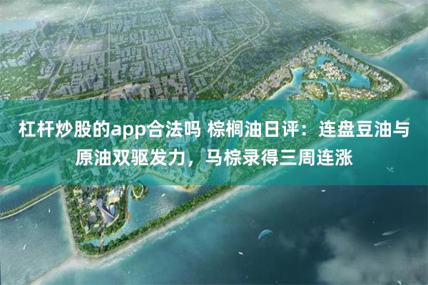 杠杆炒股的app合法吗 棕榈油日评:连盘豆油与原油双驱发力,马棕录得三周连涨