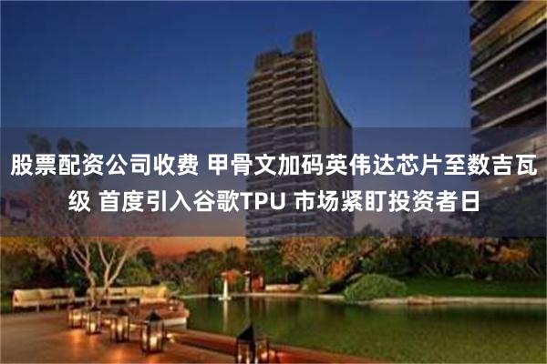 股票配资公司收费 甲骨文加码英伟达芯片至数吉瓦级 首度引入谷歌TPU 市场紧盯投资者日